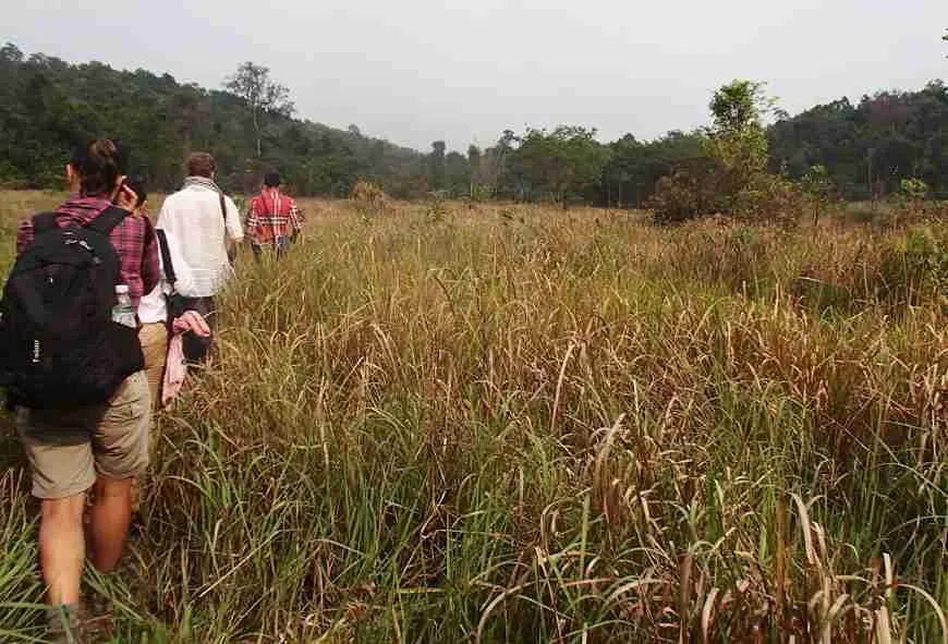 Cambodja-Wildlife-Release- Station-Koh-Kong-wandeling